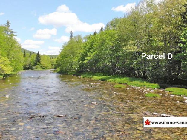 Grundstück zum Kauf 62.000 € 35.600 m² Grundstück Gold Brook Road 3Lots Upper Middle River 010