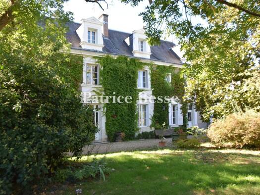 Einfamilienhaus zum Kauf 1.040.000 € 9 Zimmer 320 m² 7.992 m² Grundstück Ouest-Sud Ouest Amboise 37400