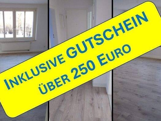 Terrassenwohnung zur Miete 350 € 3 Zimmer 58,2 m² EG frei ab sofort Cranachstraße 2 Lutherviertel Chemnitz 09126