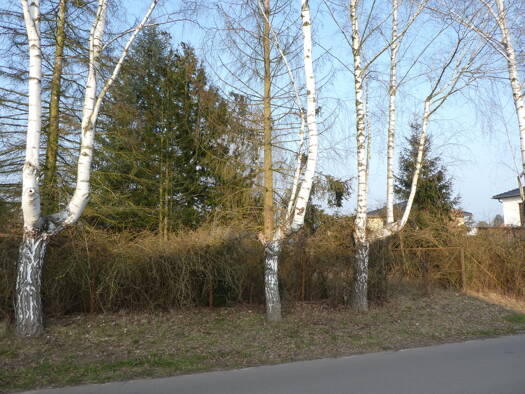 Grundstück zum Kauf 260.000 € 719 m² Grundstück Fredersdorf-Nord Fredersdorf-Vogelsdorf 15370