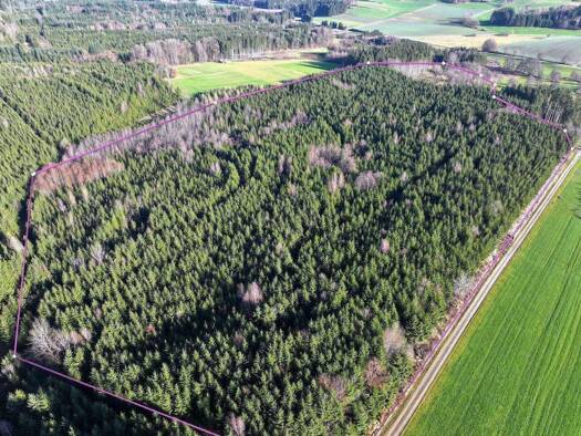 Forstwirtschaft zum Kauf 429.000 € 123.084 m² Grundstück Olgishofen Kirchhaslach 87755