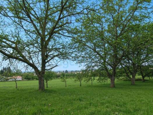 Grundstück zum Kauf 220.000 € 1.145 m² Grundstück Neudörfl 7201