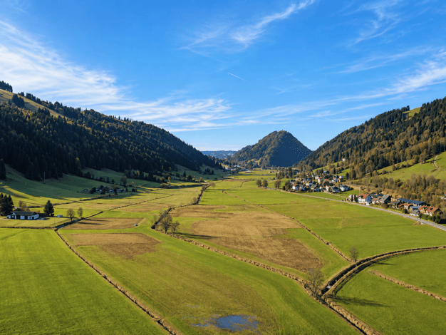 Grundstück zum Kauf 295.000 € 1.351,2 m² Grundstück Thalkirchdorf Oberstaufen 87534