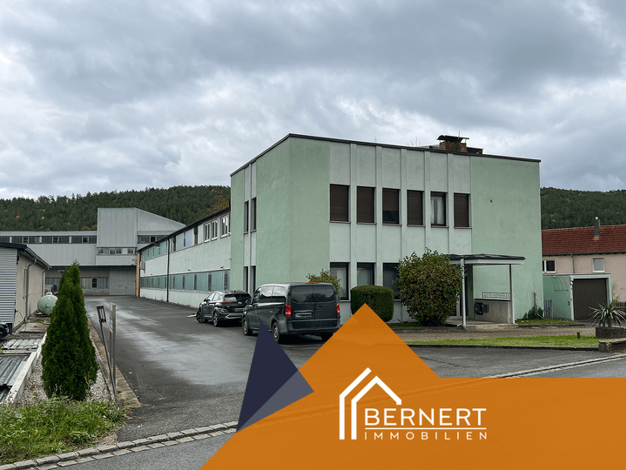 Produktionshalle zum Kauf 650.000 € 1.960 m² Lagerfläche Neuses Kronach 96317