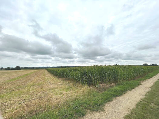 Land-/Forstwirtschaft zum Kauf 289.900 € 30.349 m² Grundstück Mohrenhausen Kettershausen-Zaiertshofen 86498