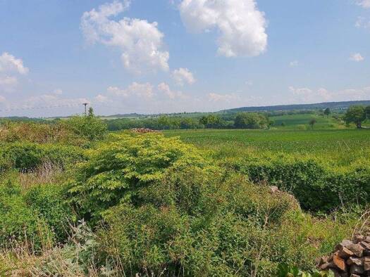 Einfamilienhaus zur Miete 1.500 € 4 Zimmer 130 m² 3.000 m² Grundstück frei ab 01.03.2026 Dorfstraße 49 Obercunnersdorf Klingenberg 01774