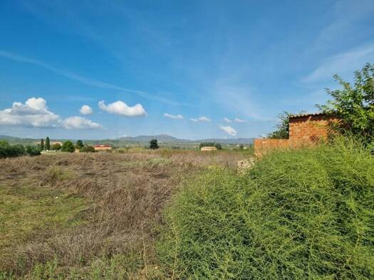 Acker-/Waldstück zum Kauf 17.500 € Ginestar 43748