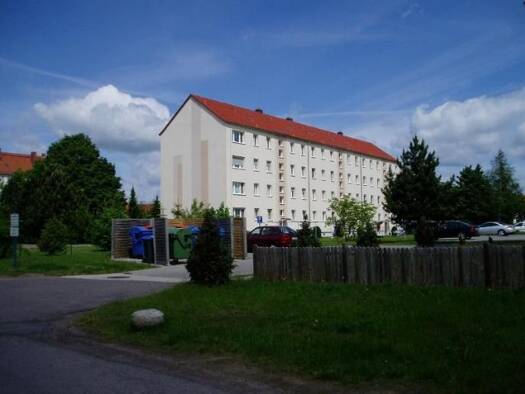 Wohnung zur Miete 398 € 5 Zimmer 61,3 m² Geschoss -1/4 frei ab 01.02.2027 Alfred-Weidner-Weg 9 Dahlen Dahlen 04774