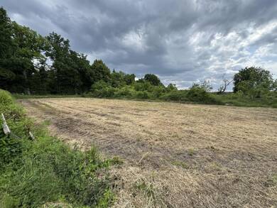 Grundstück zum Kauf 18.000 € 981 m² Grundstück frei ab sofort Bodenteich Bad Bodenteich 29389