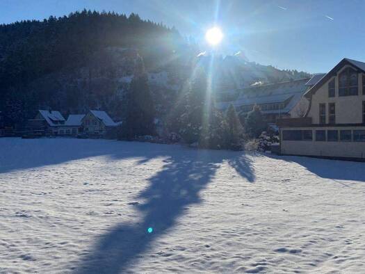 Gastronomie/Hotel zum Kauf provisionsfrei 500.000 € 250 m² Gastrofläche Dorfstr. 29, 31 Schapbach Bad Rippoldsau-Schapbach 77776