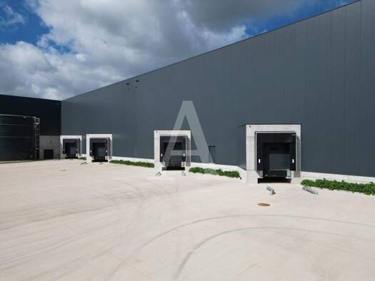 Halle/Industriefläche zur Miete 7.559 m² Lagerfläche teilbar ab 2.571 m² Paffendorf Bergheim 50126