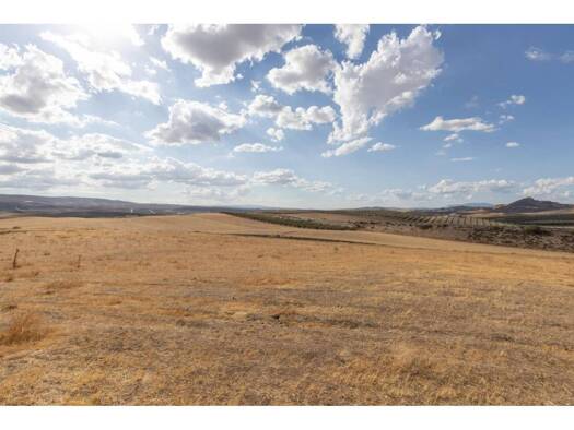 Acker-/Waldstück zum Kauf 110.000 € Polígono 6 Parcela 17 CAÑADA ESPARRAGAL. VILLA D 6 Villa de Otura 18630