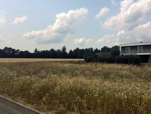 Grundstück zum Kauf provisionsfrei 601 m² Grundstück Im Tann Eschach 73569