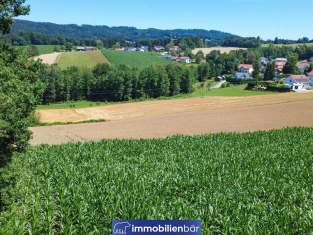 Grundstück zum Kauf 54.271 € 1.239 m² Grundstück Kopfing im Innkreis 4794