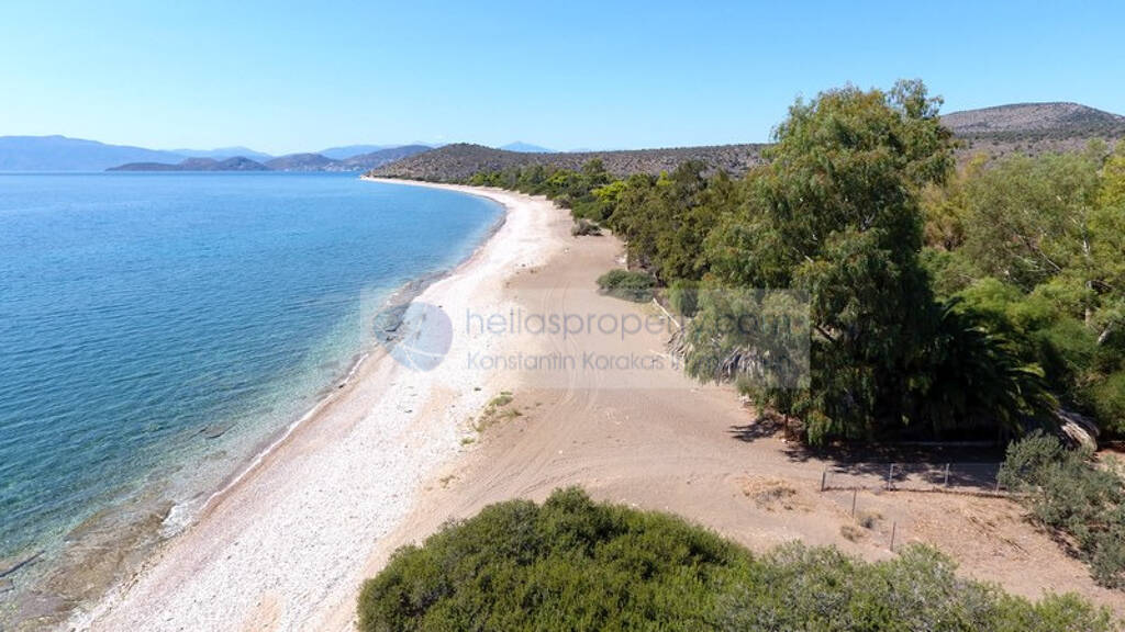 Grundstück zum Kauf 300.000 € 3.500 m² Grundstück Asini 21060