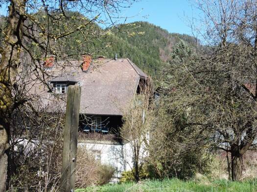 Haus zum Kauf 699.000 € 10 Zimmer 250 m² 53.551 m² Grundstück Frohnleiten 8131