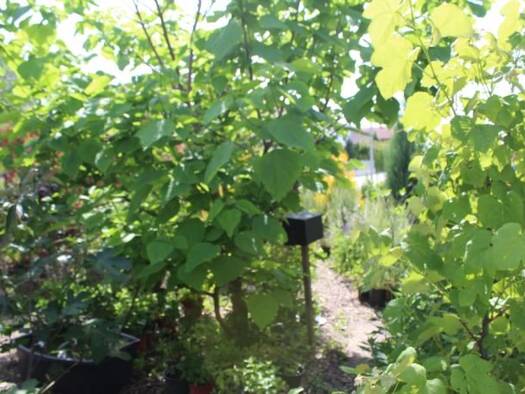 Grundstück zum Kauf 435.000 € 1.050 m² Grundstück Baugenehmigung vorhanden Furth Furth 84095