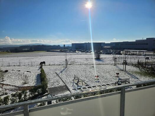 Wohnung zur Miete 1.190 € 3,5 Zimmer 85 m² Geschoss 2/3 frei ab 01.01.2026 Dauchingen 78083