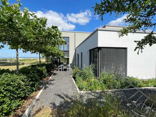 Villa zum Kauf provisionsfrei 1.500.000 € 8 Zimmer 385 m² 10.000 m² Grundstück frei ab 01.07.2027 Wargolshausen Hollstadt 97618