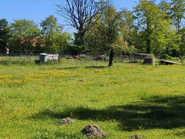 Bauernhaus zum Kauf 195.000 € 3 Zimmer 120 m² 6.000 m² Grundstück Schlabendorf Luckau 15926