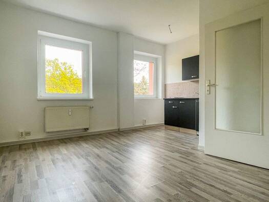 Wohnung zur Miete 205 € 2 Zimmer 36,3 m² 1. Geschoss Pöhlauer Straße 114 Pöhlau Zwickau 08066