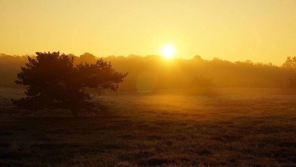 Wohnung zum Kauf provisionsfrei 323.050 € 3 Zimmer 91 m² EG Ullersdorf Radeberg 01454