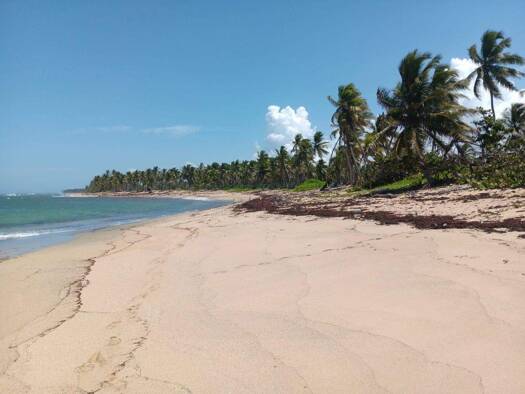 Bauernhof zum Kauf 6.425.679 € 65.000 m² Grundstück Unnamed Road Las Lagunas de Nisibón