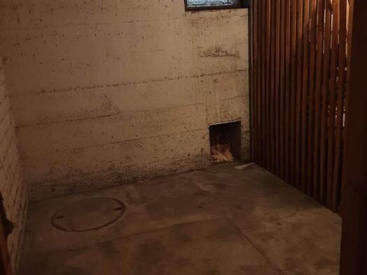 Studio zur Miete 50 € 1 Zimmer 7,7 m² Calwerstr. 32 Südstadt Pforzheim 75175