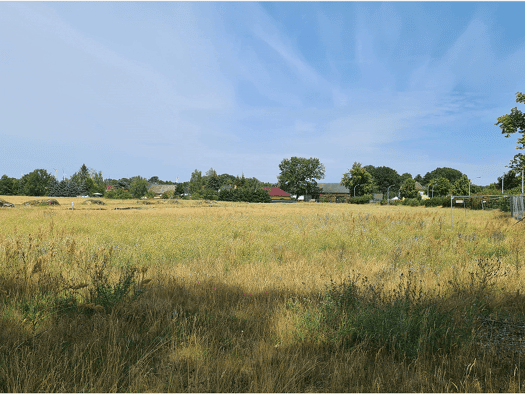 Grundstück zum Kauf provisionsfrei 69.990 € 763 m² Grundstück Freiwalde Bersteland 15910