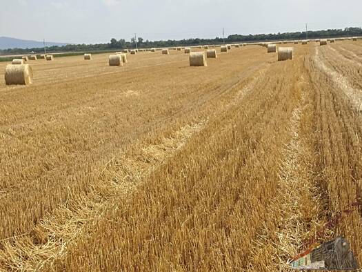 Landwirtschaftliche Fläche zum Kauf 167.000 € 19.270 m² Grundstück Weikendorf 2253