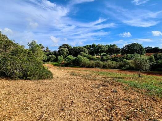 Grundstück zum Kauf provisionsfrei 438.000 € 32.700 m² Grundstück Felanitx 07200