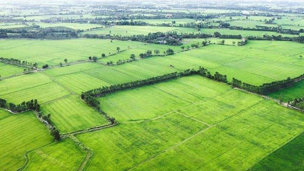 Grundstück zum Kauf provisionsfrei 80.000 € 965 m² Grundstück Emstek 49685