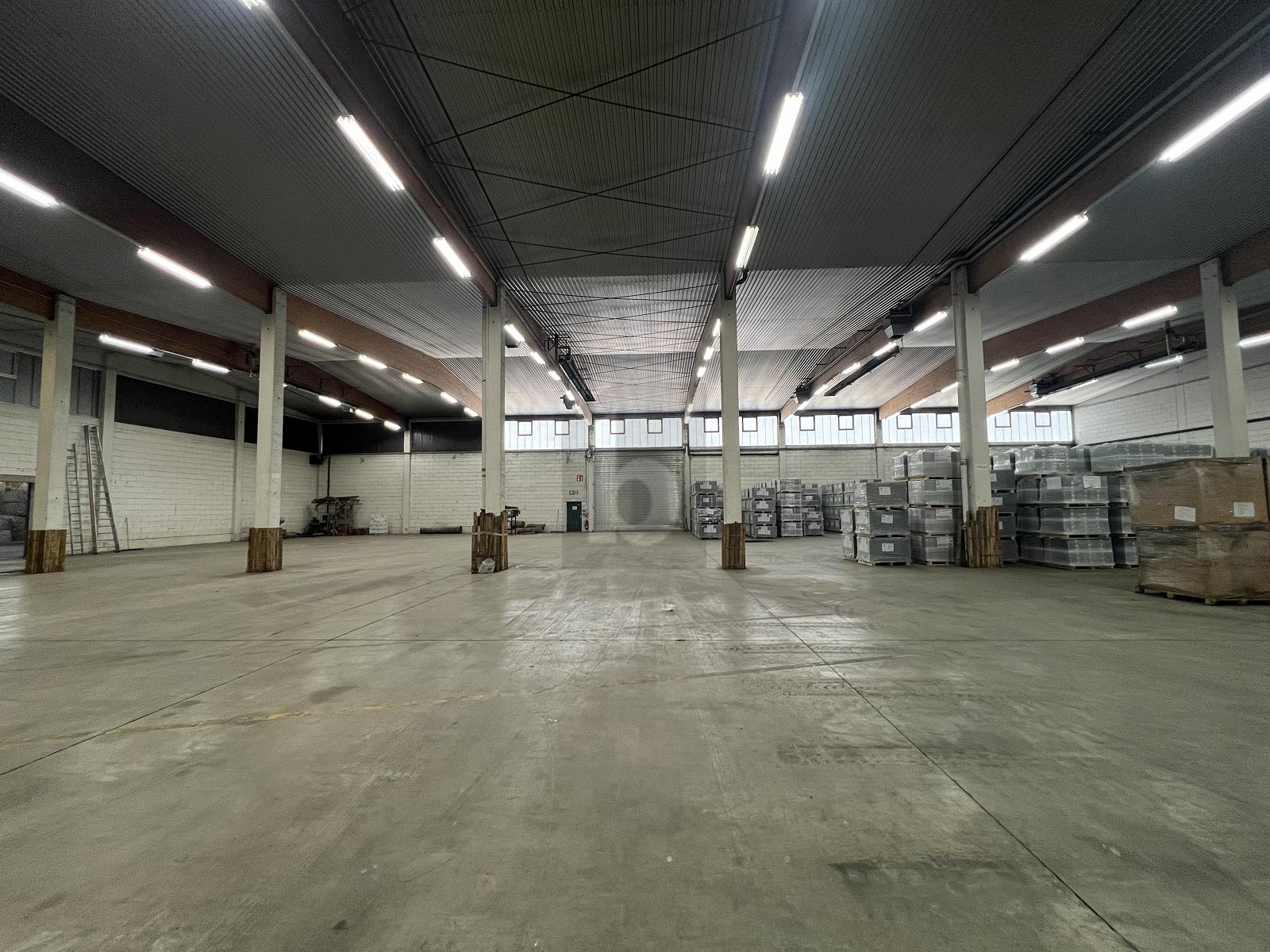 Lagerhalle zur Miete 5,90 € 2.400 m²<br/>Lagerfläche Kehl - Sundheim Kehl 77694