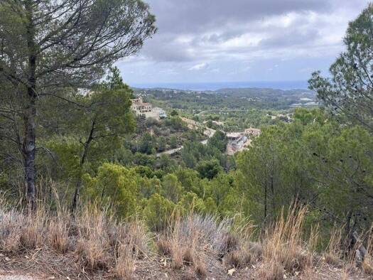 Acker-/Waldstück zum Kauf 547.000 € Callosa d'en Sarrià 03599