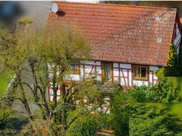Einfamilienhaus zur Miete 1.400 € 6 Zimmer 170 m² 345 m² Grundstück Streitberg Brachttal 63636