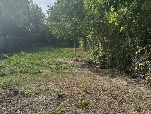 Grundstück zum Kauf provisionsfrei 419 m² Grundstück Seestraße Hornstein 2491