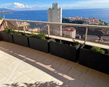 Apartment zum Kauf provisionsfrei 11.000.000 € 5 Zimmer 220,7 m² 12. Geschoss frei ab 31.03.2026 Monaco 98000