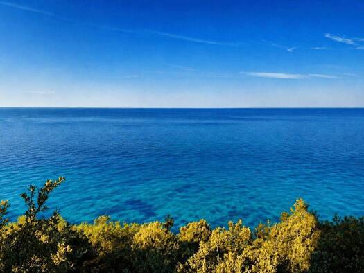 Acker-/Waldstück zum Kauf 1.000 € Dubrovnik 20000