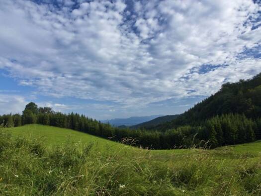 Land-/Forstwirtschaft zum Kauf 227.000 € 18.841 m² Grundstück Eggenberg Graz 8051