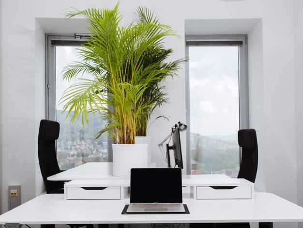 Bürofläche zur Miete provisionsfrei 90 € 4 m² Bürofläche Leutragraben Zentrum Jena 07743