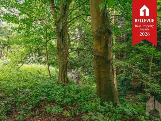 Grundstück zum Kauf 435.000 € 2.110 m² Grundstück Halft Eitorf / Halft 53783