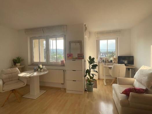 Wohnung zur Miete 550 € 1 Zimmer 31 m² Geschoss 1/4 frei ab 01.10.2026 Heidingsfeld Würzburg 97084