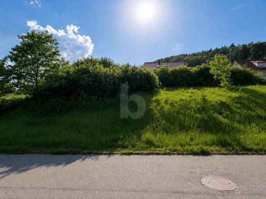 Grundstück zum Kauf 79.000 € 629 m² Grundstück Burladingen Burladingen 72393