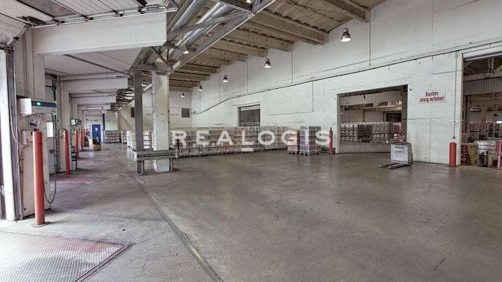 Halle/Industriefläche zur Miete 14.933 m² Lagerfläche teilbar ab 4.793 m² Schönefeld-Ost Leipzig 04347