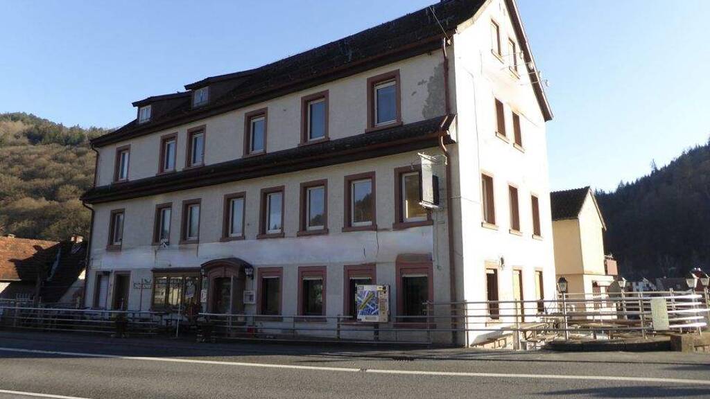 Haus zum Kauf 1.080.000 € 24 Zimmer 450 m² 780 m² Grundstück Neckarhausen Neckarsteinach 69239