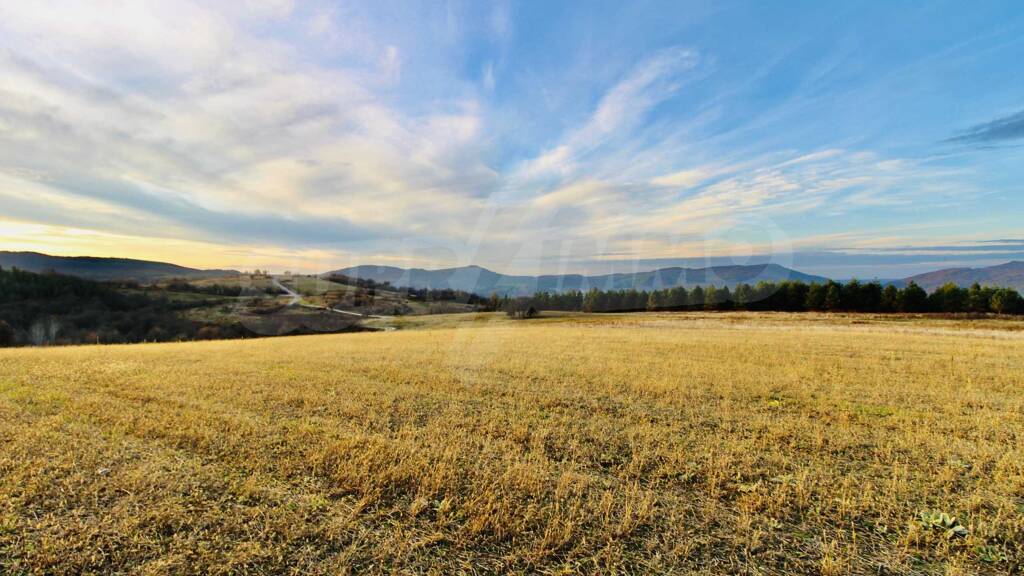 Land-/Forstwirtschaft zum Kauf 70.000 € Elena