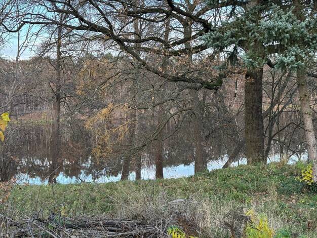 Grundstück zum Kauf 875.000 € 3.935 m² Grundstück Krummensee Mittenwalde 15749