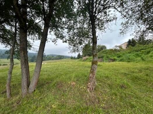 Grundstück zum Kauf provisionsfrei 40.000 € 840 m² Grundstück Baugenehmigung vorhanden Eisenbergweg Schmiedefeld am Rennsteig 98711