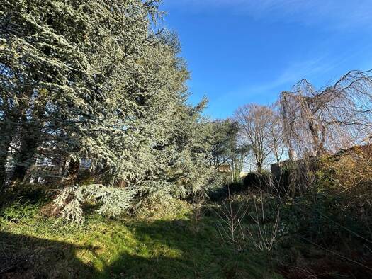 Wohnung zum Kauf 422.000 € 3,5 Zimmer 94 m² EG Höntrop Bochum / Höntrop 44869