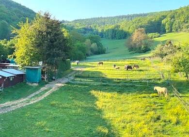Terrassenwohnung zum Kauf provisionsfrei 550.000 € 5 Zimmer 195 m² Geschoss 1/2 Miltenberg Miltenberg 63897